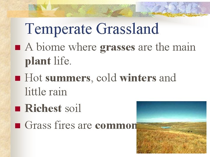 Temperate Grassland n n A biome where grasses are the main plant life. Hot