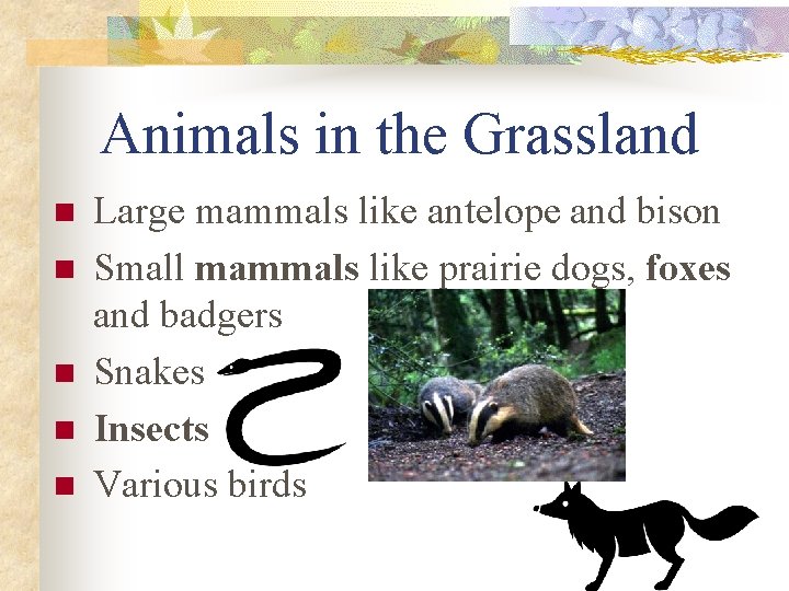 Animals in the Grassland n n n Large mammals like antelope and bison Small