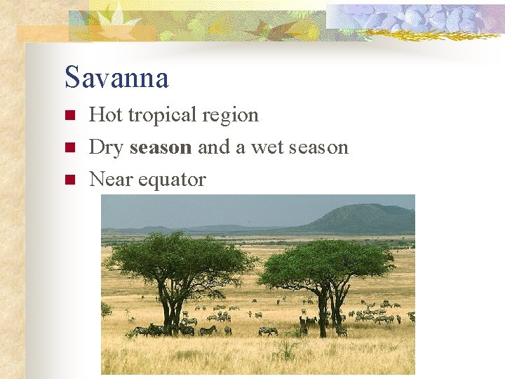 Savanna n n n Hot tropical region Dry season and a wet season Near