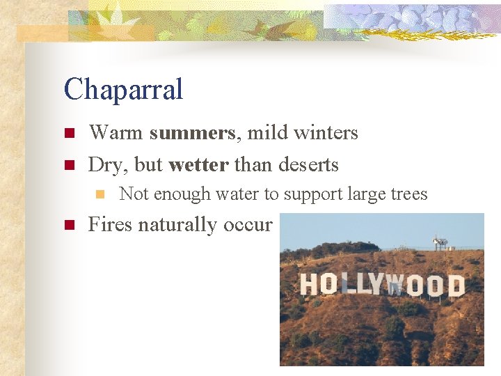 Chaparral n n Warm summers, mild winters Dry, but wetter than deserts n n