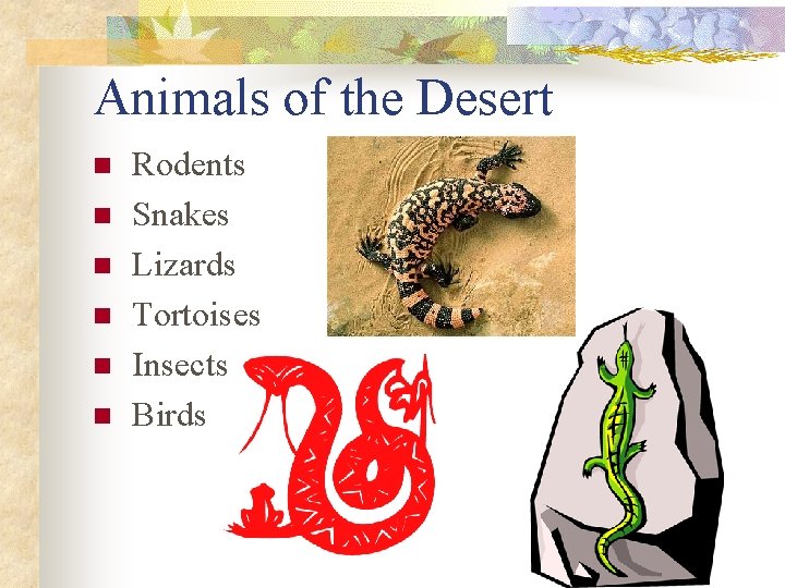 Animals of the Desert n n n Rodents Snakes Lizards Tortoises Insects Birds 