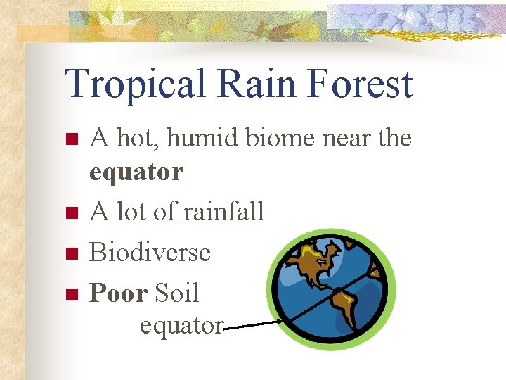 Tropical Rain Forest n n A hot, humid biome near the equator A lot