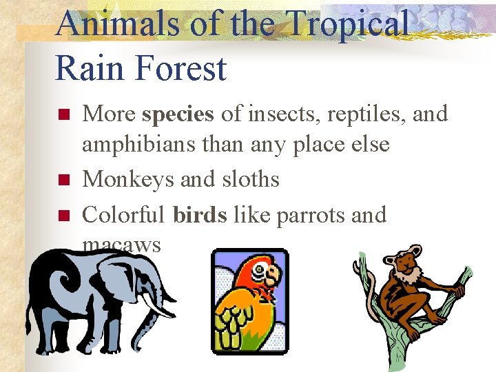 Animals of the Tropical Rain Forest n n n More species of insects, reptiles,
