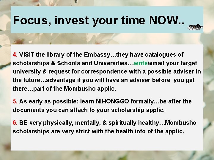 Focus, invest your time NOW. . 4. VISIT the library of the Embassy…they have