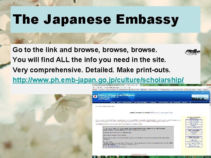 The Japanese Embassy Go to the link and browse, browse. You will find ALL