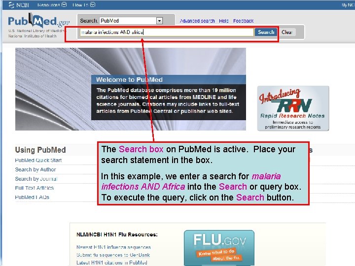 The Search box on Pub. Med is active. Place your search statement in the