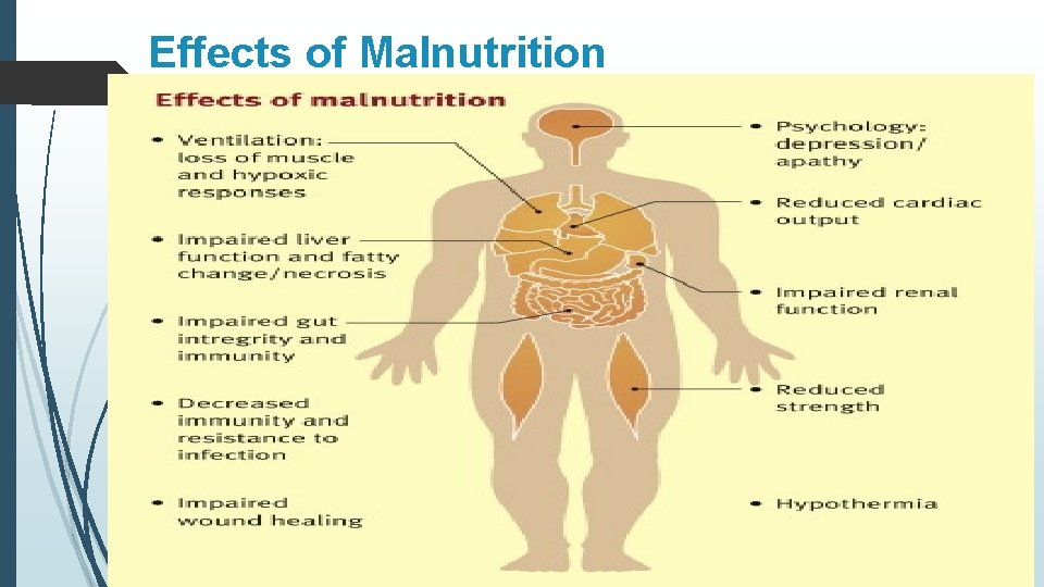 Effects of Malnutrition 