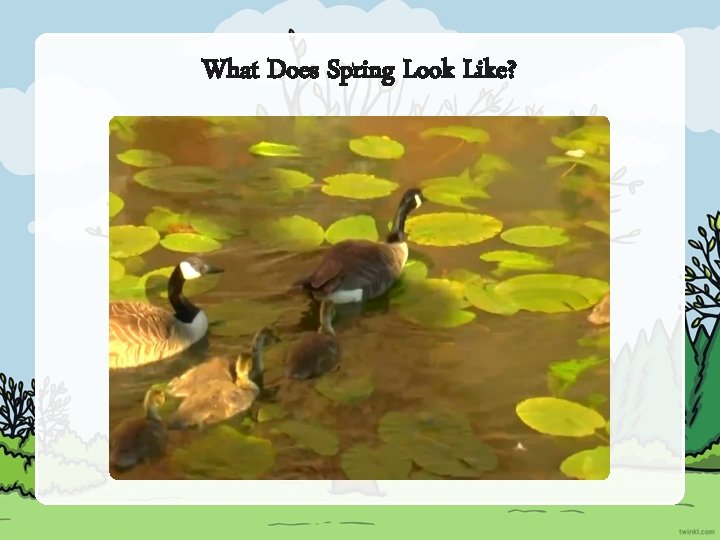 What Does Spring Look Like? 