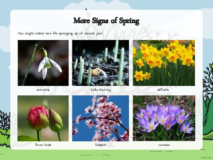 More Signs of Spring You might notice new life springing up all around you!