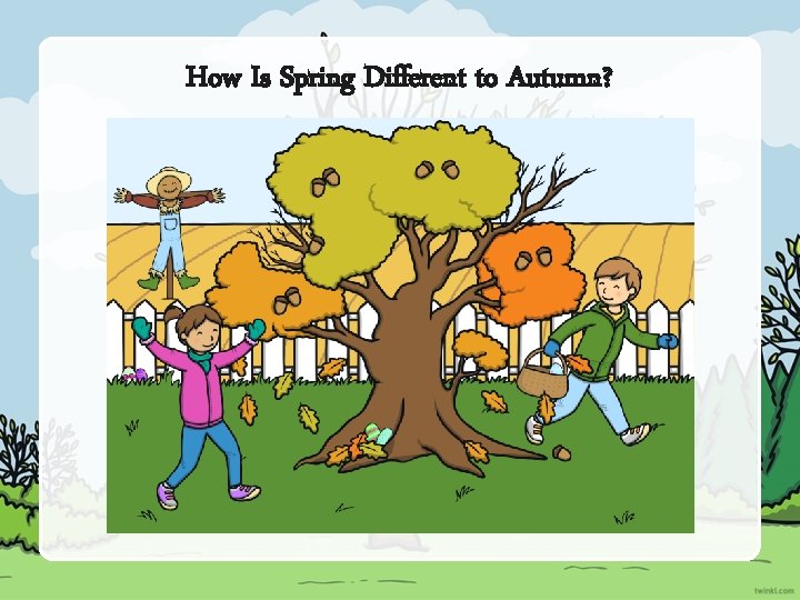 How Is Spring Different to Autumn? 