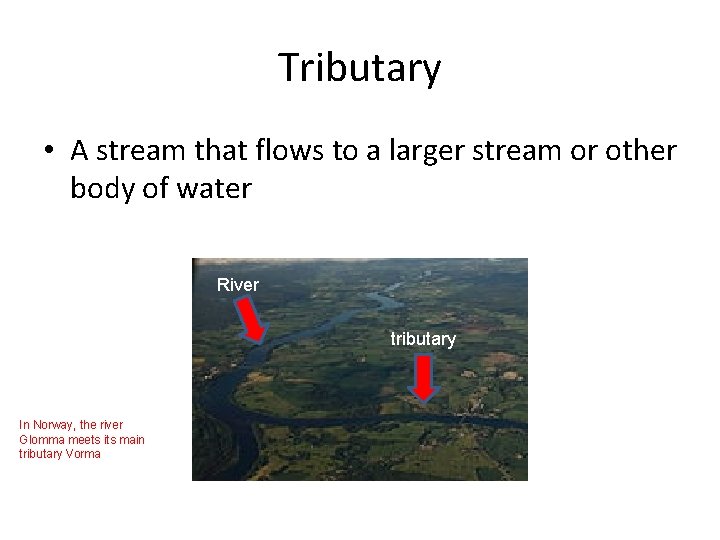Tributary • A stream that flows to a larger stream or other body of