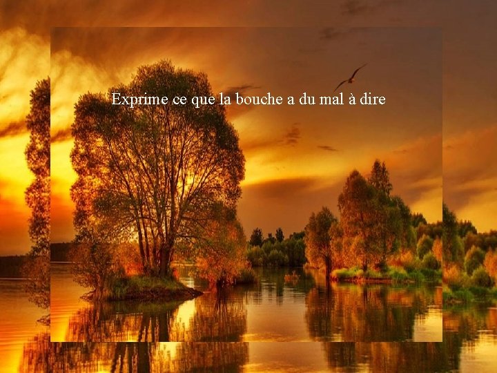 Exprime ce que la bouche a du mal à dire 