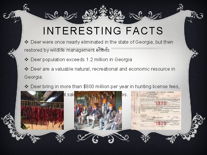 INTERESTING FACTS v Deer were once nearly eliminated in the state of Georgia, but