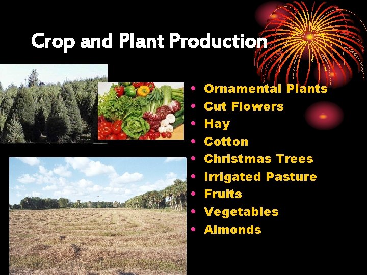 Crop and Plant Production • • • Ornamental Plants Cut Flowers Hay Cotton Christmas