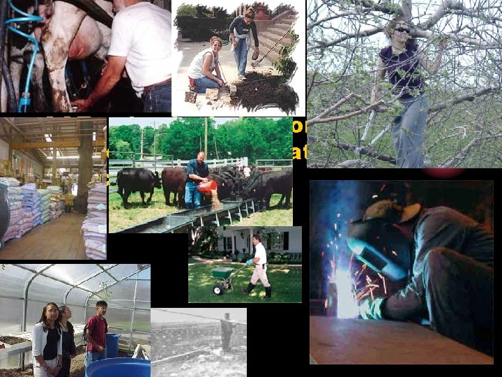Work Experience SAEs also include work experience jobs that you a placed into. 