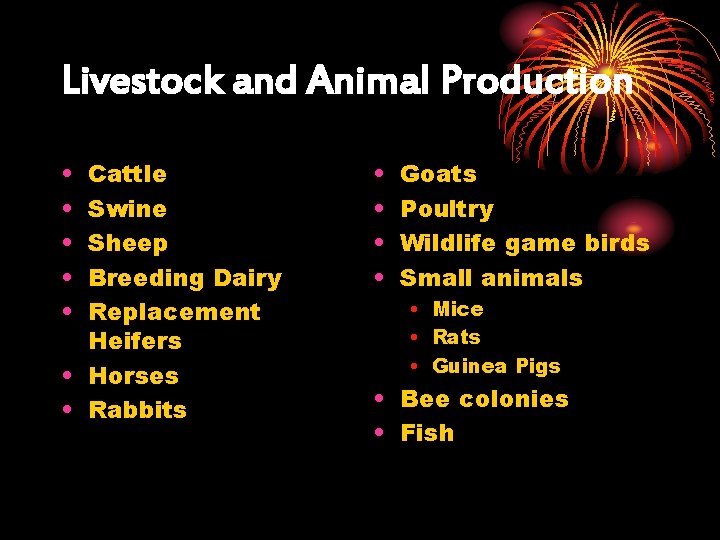 Livestock and Animal Production • • • Cattle Swine Sheep Breeding Dairy Replacement Heifers