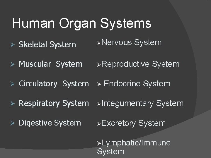 Human Organ Systems Ø Skeletal System ØNervous System Ø Muscular System ØReproductive Ø Circulatory