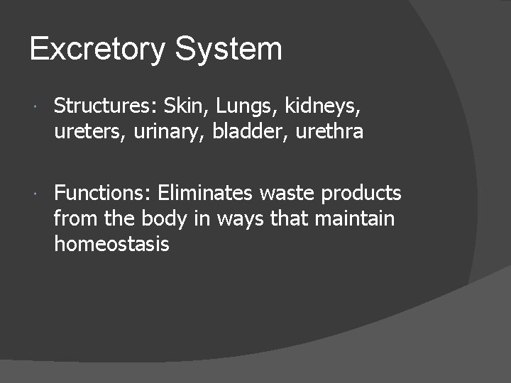 Excretory System Structures: Skin, Lungs, kidneys, ureters, urinary, bladder, urethra Functions: Eliminates waste products