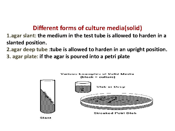 Different forms of culture media(solid) 1. agar slant: the medium in the test tube
