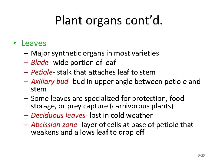 Plant organs cont’d. • Leaves – Major synthetic organs in most varieties – Blade-
