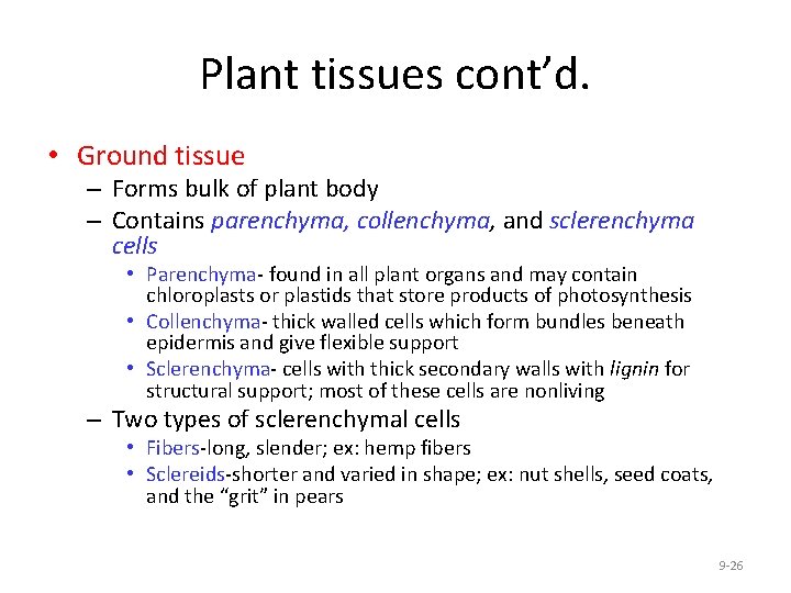 Plant tissues cont’d. • Ground tissue – Forms bulk of plant body – Contains