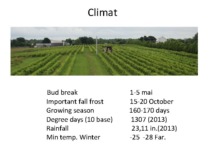 Climat Bud break Important fall frost Growing season Degree days (10 base) Rainfall Min