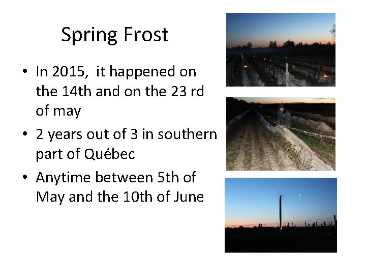 Spring Frost • In 2015, it happened on the 14 th and on the