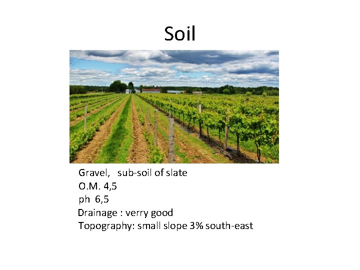 Soil Gravel, sub-soil of slate O. M. 4, 5 ph 6, 5 Drainage :