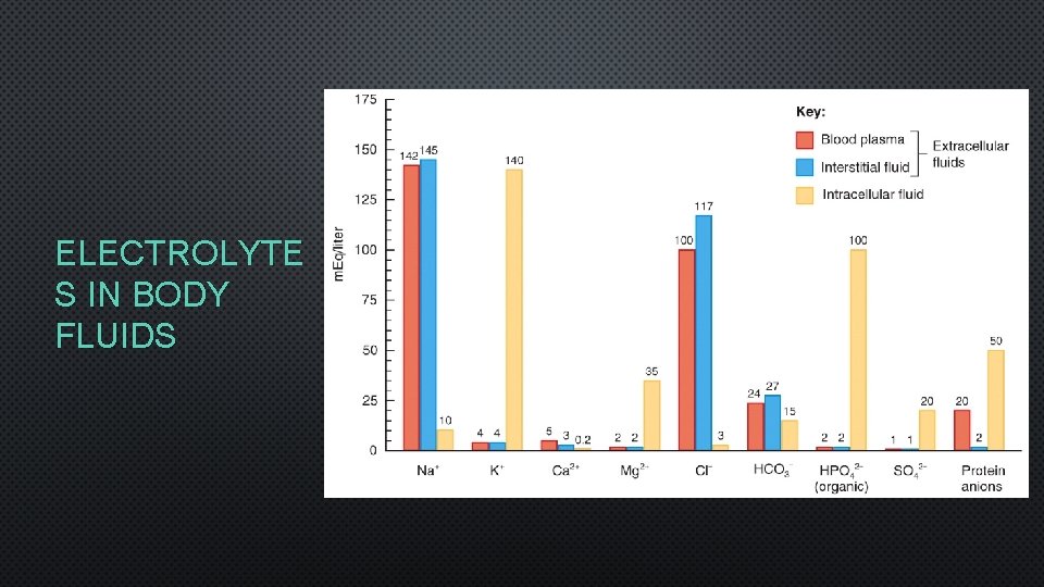 ELECTROLYTE S IN BODY FLUIDS 