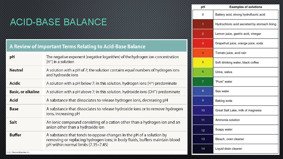 ACID-BASE BALANCE 