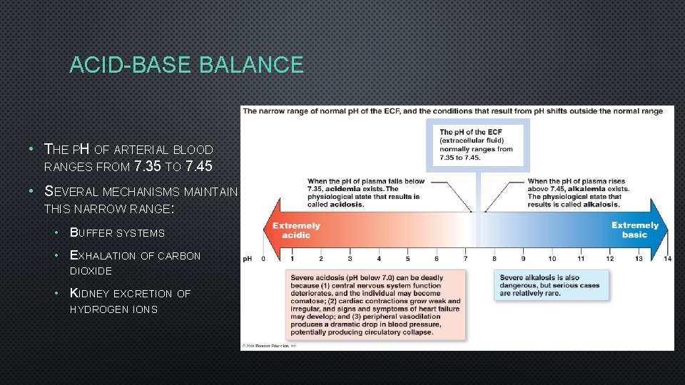 ACID-BASE BALANCE • THE PH OF ARTERIAL BLOOD RANGES FROM 7. 35 TO 7.