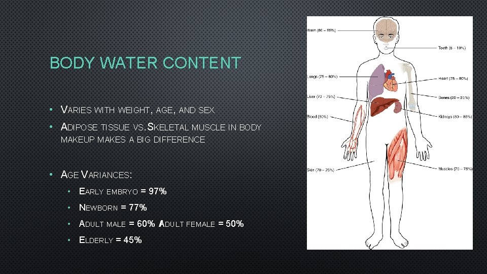 BODY WATER CONTENT • VARIES WITH WEIGHT, AGE, AND SEX • ADIPOSE TISSUE VS.
