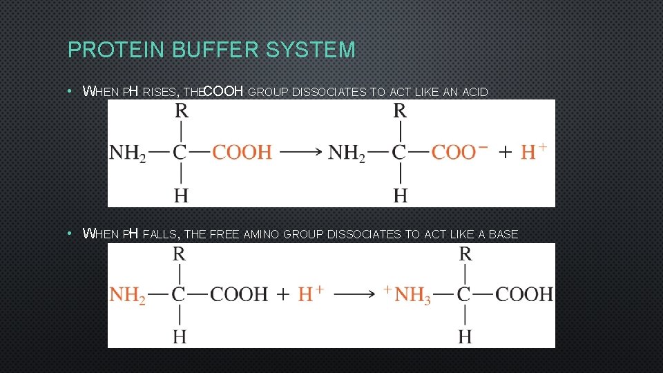PROTEIN BUFFER SYSTEM • WHEN PH RISES, THECOOH GROUP DISSOCIATES TO ACT LIKE AN