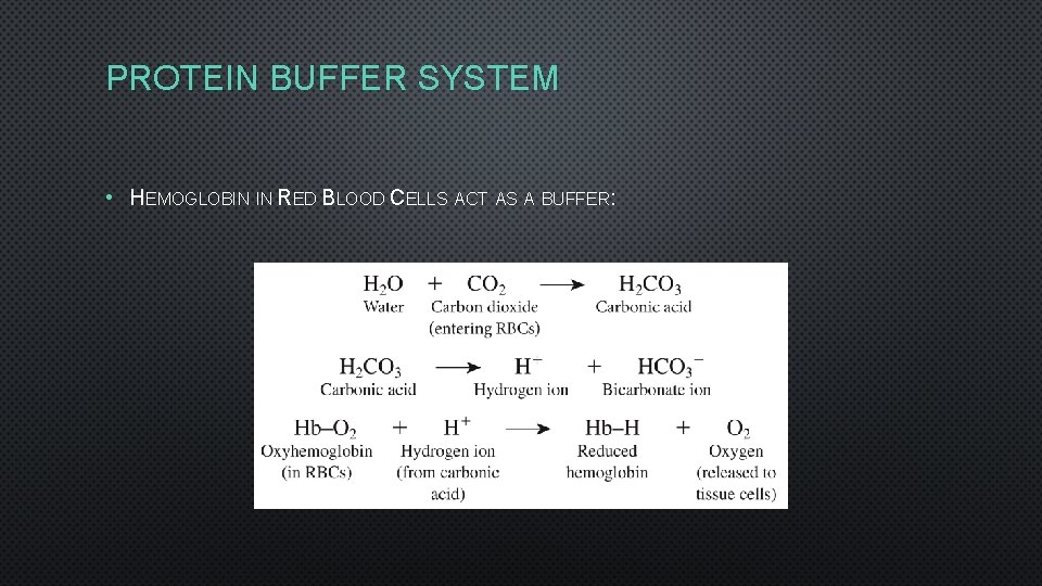 PROTEIN BUFFER SYSTEM • HEMOGLOBIN IN RED BLOOD CELLS ACT AS A BUFFER: 