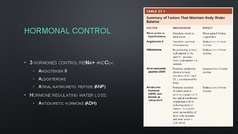 HORMONAL CONTROL • 3 HORMONES CONTROL RENAL NA+ AND CL-: • ANGIOTENSIN II •