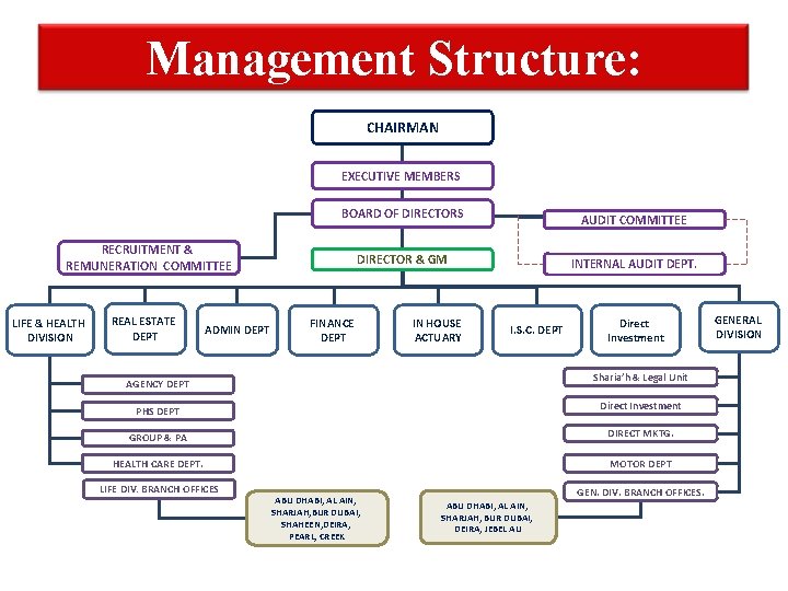 Management Structure: CHAIRMAN EXECUTIVE MEMBERS BOARD OF DIRECTORS AUDIT COMMITTEE DIRECTOR & GM INTERNAL