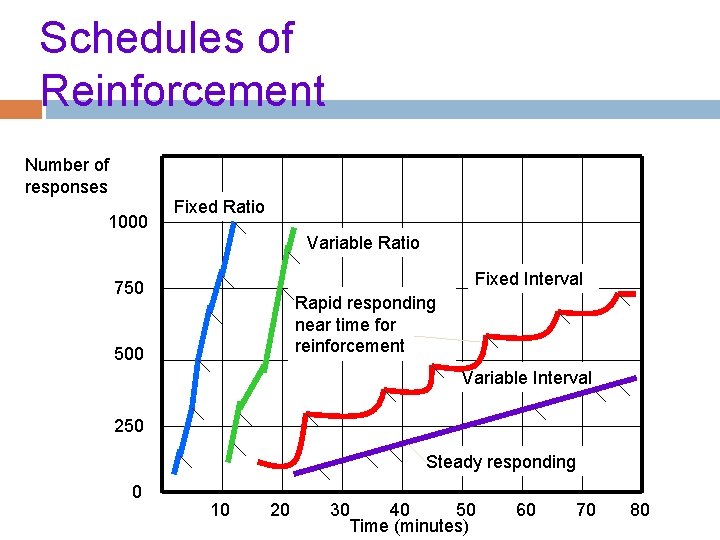 Schedules of Reinforcement Number of responses 1000 Fixed Ratio Variable Ratio Fixed Interval 750