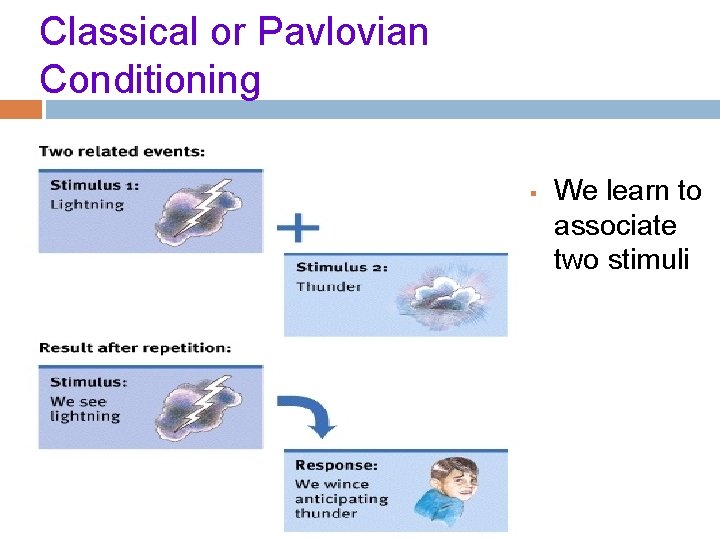 Classical or Pavlovian Conditioning § We learn to associate two stimuli 