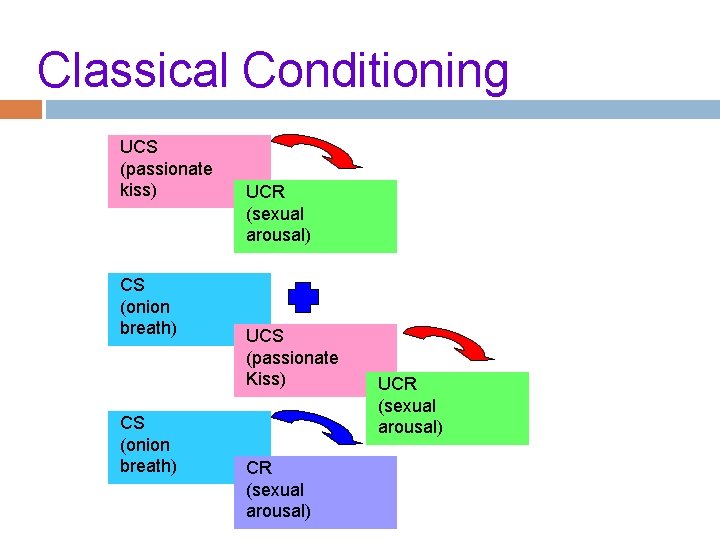 Classical Conditioning UCS (passionate kiss) CS (onion breath) UCR (sexual arousal) UCS (passionate Kiss)