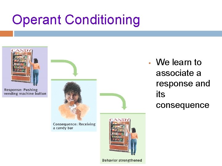 Operant Conditioning § We learn to associate a response and its consequence 