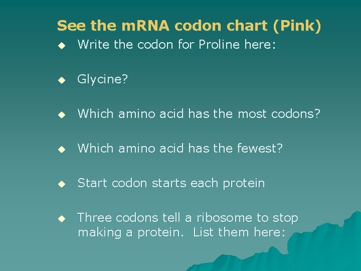 See the m. RNA codon chart (Pink) u Write the codon for Proline here: