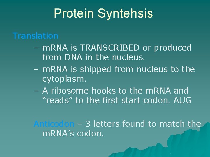 Protein Syntehsis Translation – m. RNA is TRANSCRIBED or produced from DNA in the