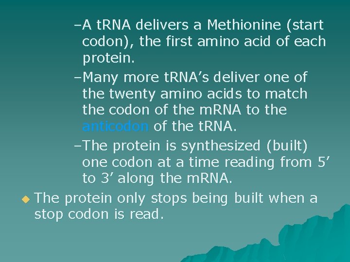 –A t. RNA delivers a Methionine (start codon), the first amino acid of each