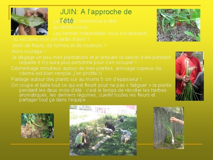 JUIN: A l’approche de La l’été chaleur commence à être au rendez-vous. Les herbes