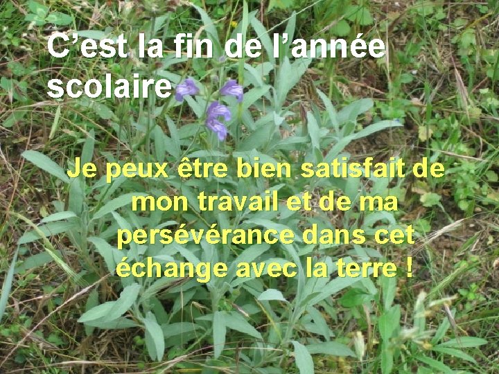 C’est la fin de l’année scolaire Je peux être bien satisfait de mon travail