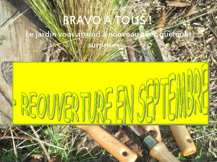 BRAVO A TOUS ! Le jardin vous attend à nouveau avec quelques surprises. .