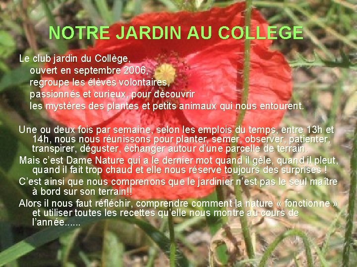 NOTRE JARDIN AU COLLEGE Le club jardin du Collège, ouvert en septembre 2006, regroupe