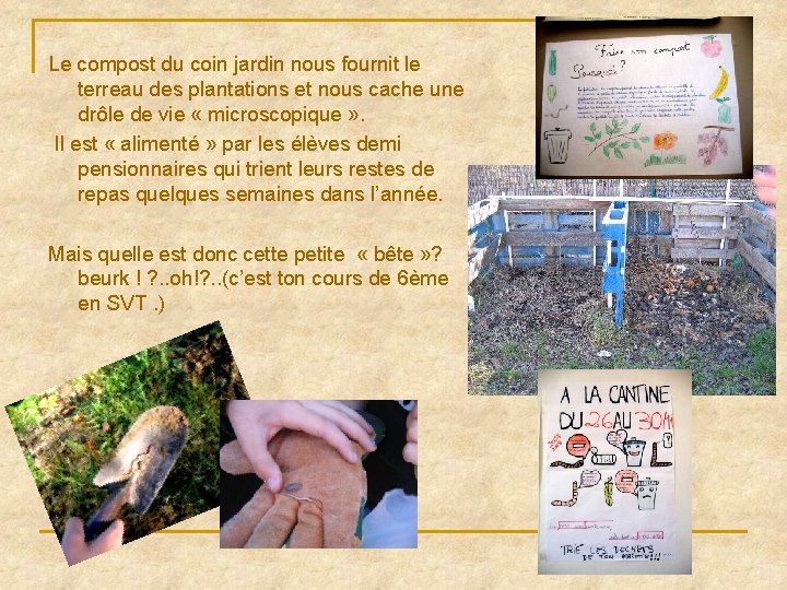 Le compost du coin jardin nous fournit le terreau des plantations et nous cache