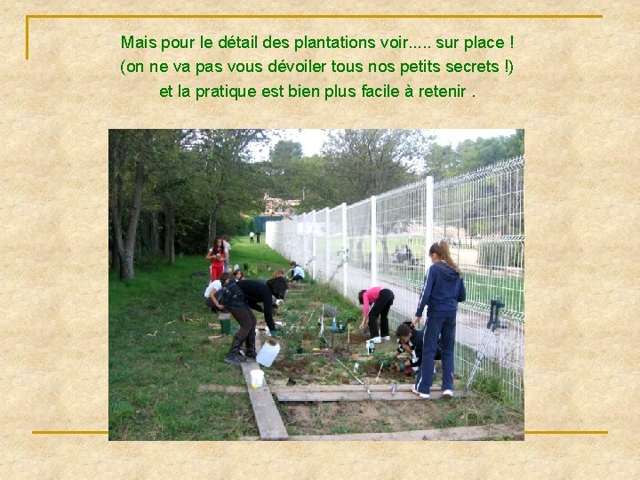 Mais pour le détail des plantations voir. . . sur place ! (on ne