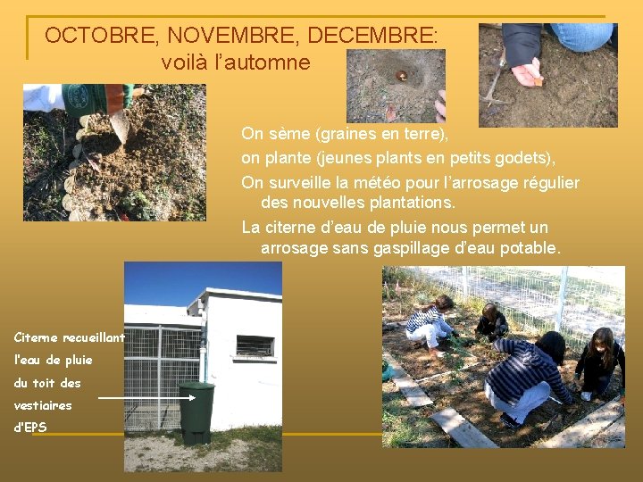 OCTOBRE, NOVEMBRE, DECEMBRE: voilà l’automne On sème (graines en terre), on plante (jeunes plants